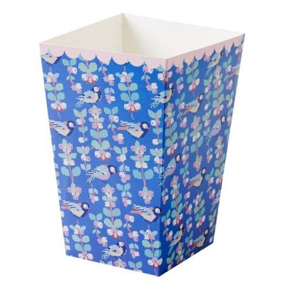 Popcorn & party boxar 6p blålila Rice